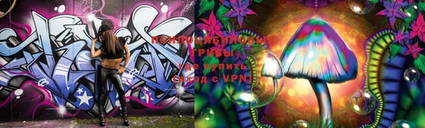 mdpv Ладушкин