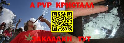 твердый Гусев