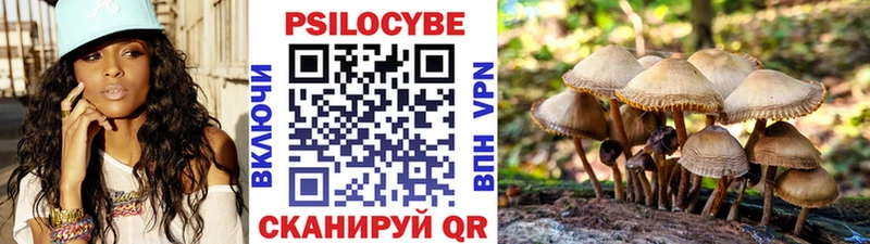 OMG онион  сайты даркнета Telegram  Псилоцибиновые грибы MAGIC MUSHROOMS  Калининград 