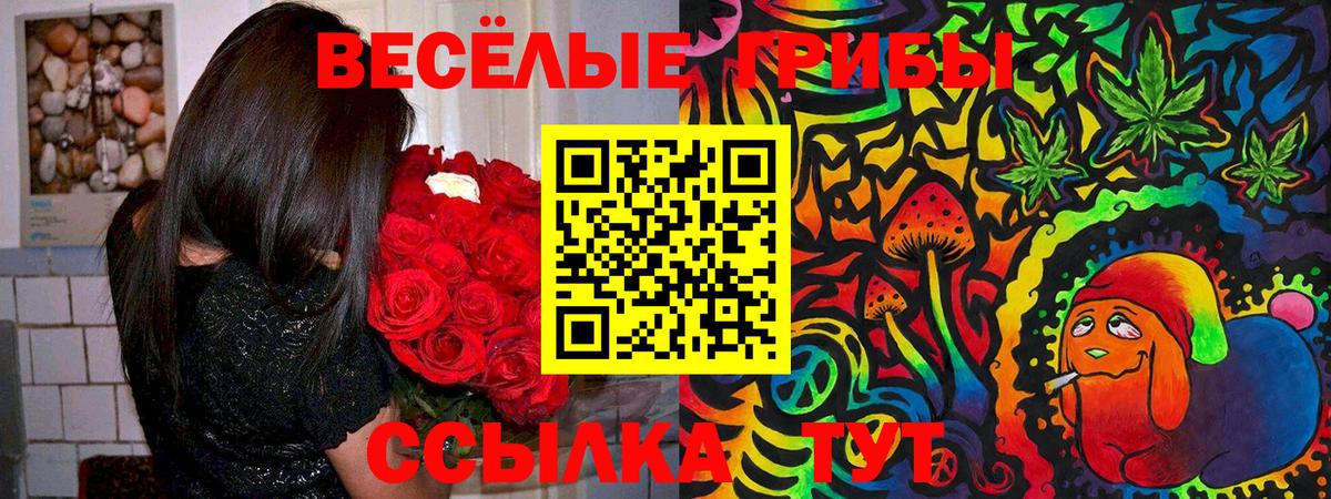 Галлюциногенные грибы мухоморы Калининград