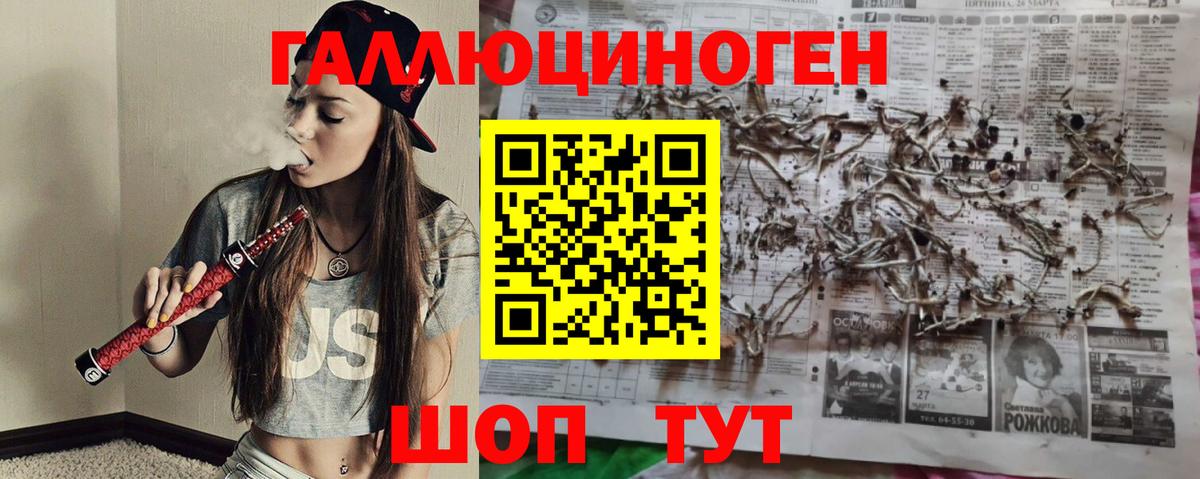 Галлюциногенные грибы GOLDEN TEACHER  как найти закладки  Калининград  Псилоцибиновые грибы мицелий 