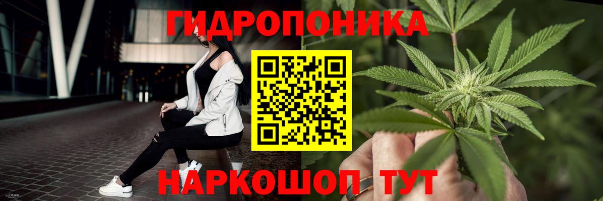 МАРИХУАНА ГИДРОПОН  Бошки марихуана конопля  Марихуана White Widow  Калининград  Канабис конопля 
